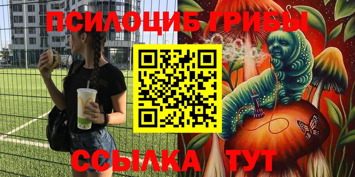 Псилоцибиновые грибы мицелий Анжеро-Судженск
