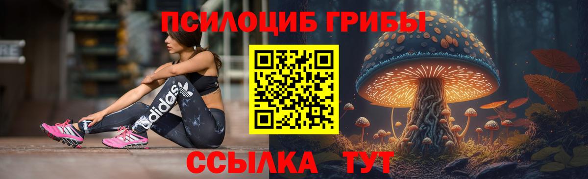 Анжеро-Судженск  Псилоцибиновые грибы Psilocybine cubensis  Вход с VPN 